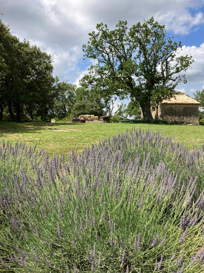 La Bastide Des Roman Vernegues Exterior foto